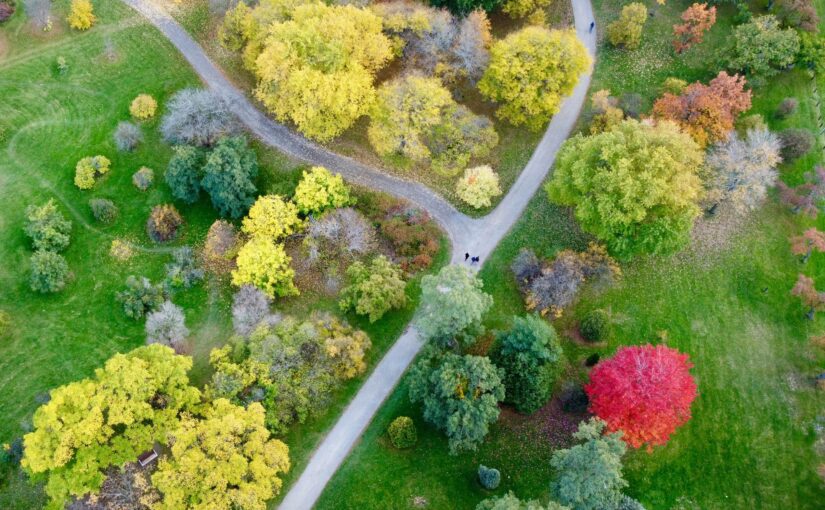 Leipzig braucht mehr Grün! Hitze-Check zeigt: Es ist deutlich zu heiß.